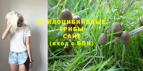 синтетический гашиш Куйбышев