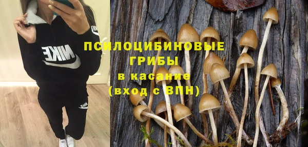 спиды Кулебаки