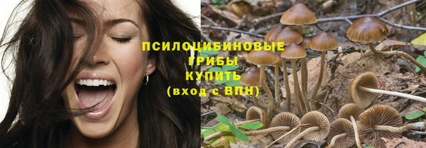 метадон Кукмор